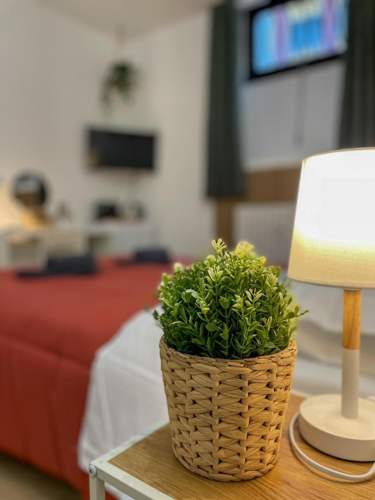 Home In Town - Home In City Life Homestay Milan