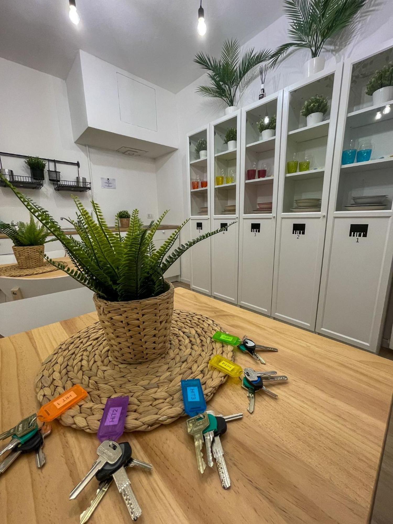 Home In Town - Home In City Life Homestay *